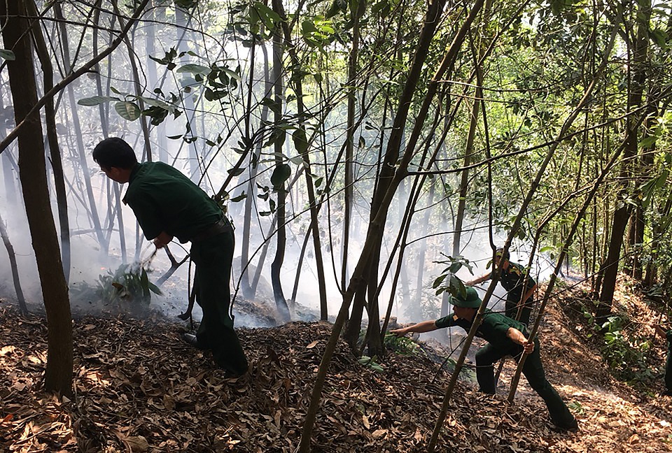 Cháy rừng Núi Trà Phương thuộc địa bàn xã Thanh Sơn, huyện Kiến Thụy đã được dập tắt